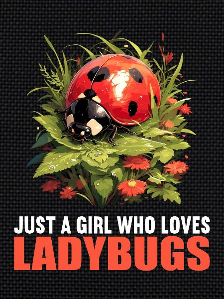 Coccinelle Marienkäfer