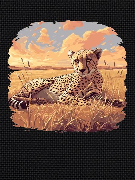 Cheetah Geparde Gepard
