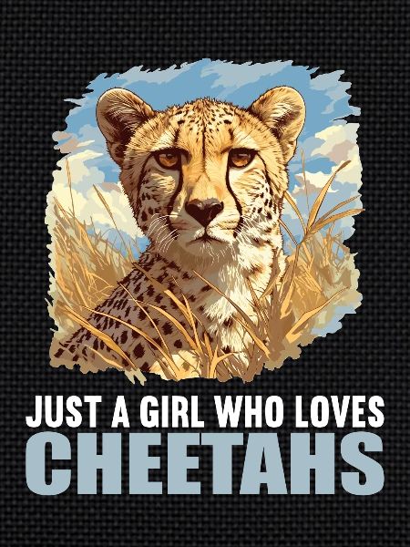Guépard Geparde Gepard