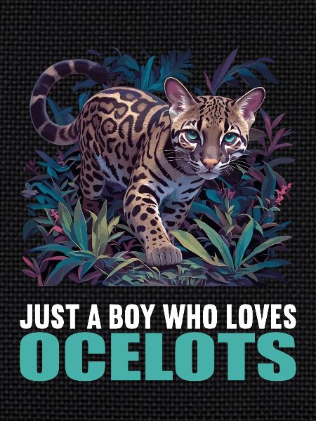 Ocelots Ocelot