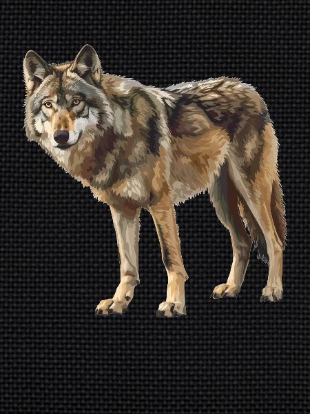 Wolves Wolf