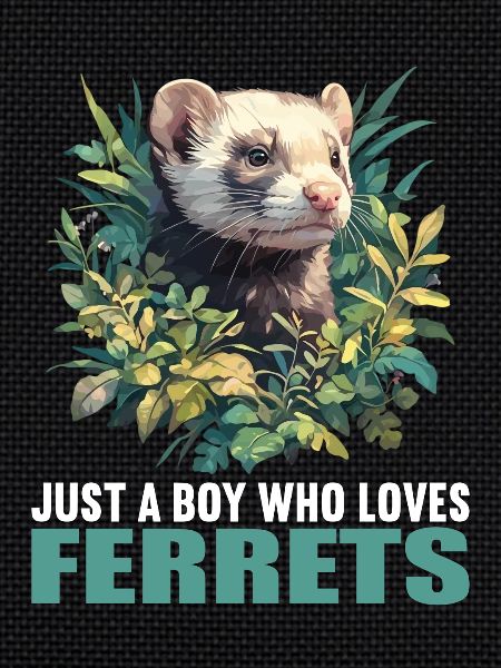 Ferret Frettchen