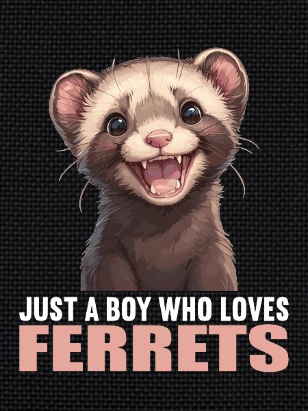 Ferret Frettchen