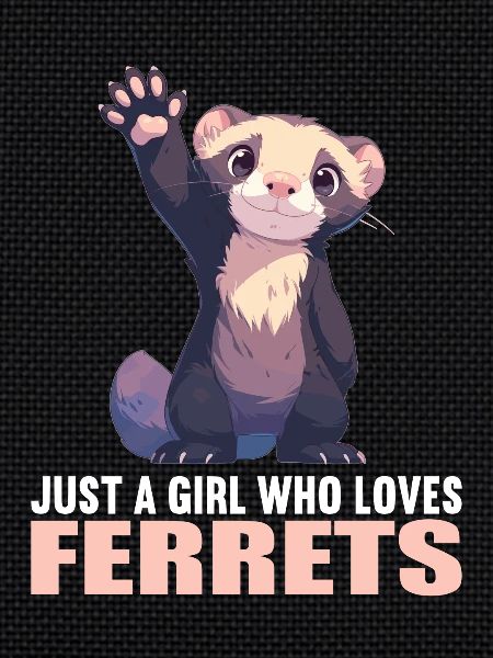 Ferret Frettchen