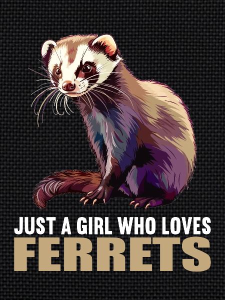 Furet Frettchen
