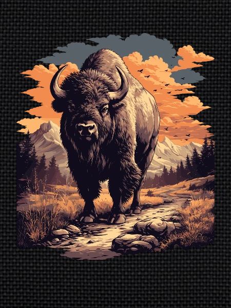 Bisons Bison