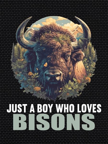 Bisons Bison
