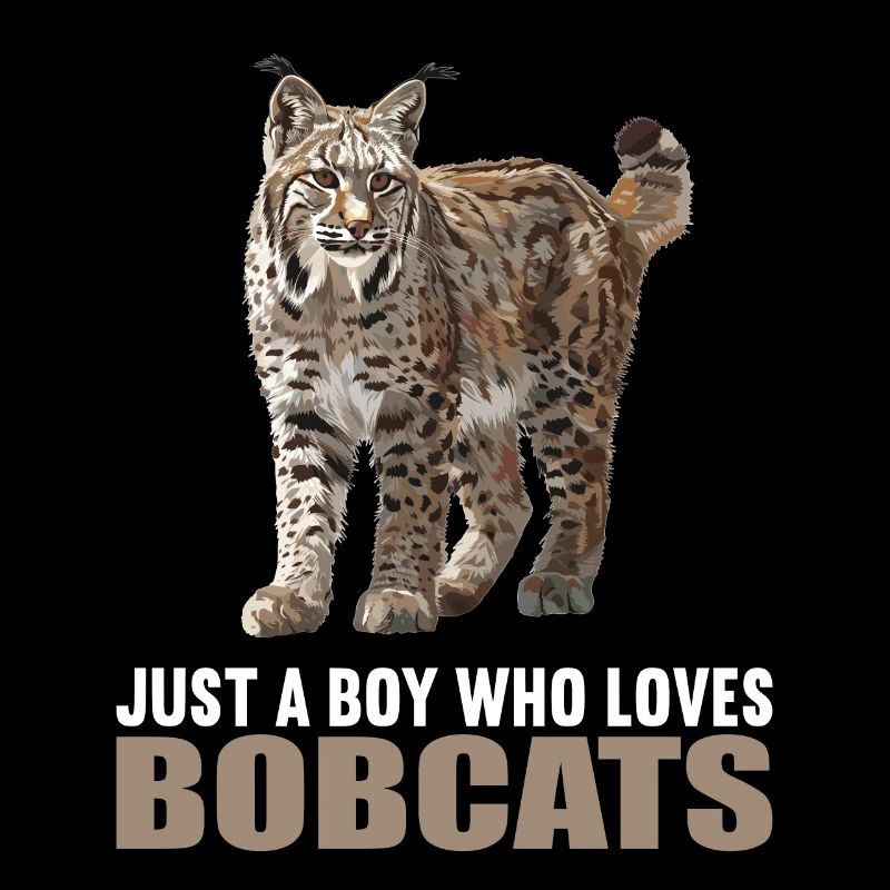 Bobcats Rotluchse Rotluchs Luchs