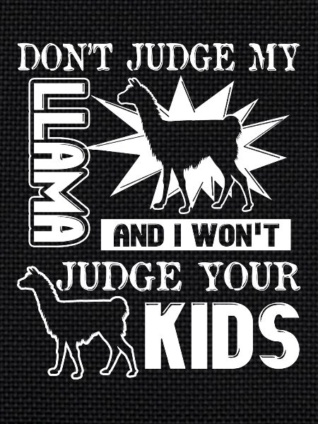 Don't Judge My Llama