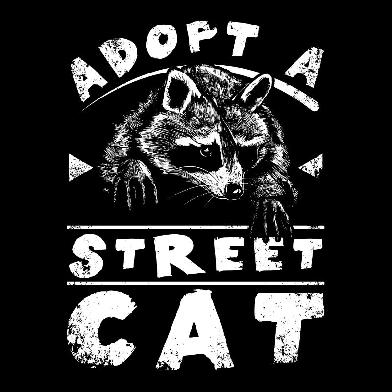 Adopt a street cat raccoon