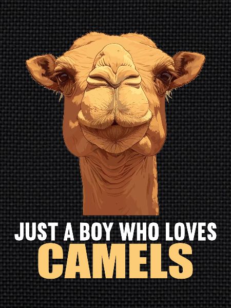 Chameau Kamele Kamel