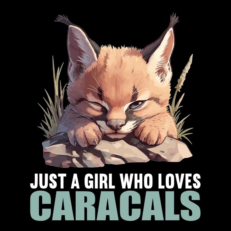 Caracal Karakale Karakal