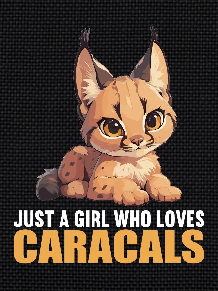 Caracal Karakale Karakal