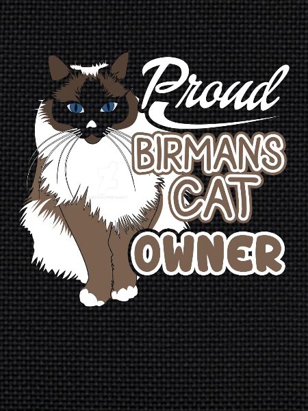 Proud Birman Cat Owner