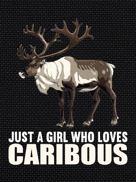 Caribou Karibus Karibu