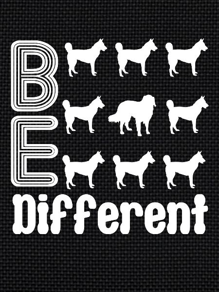 Australian Shepherd Be Different