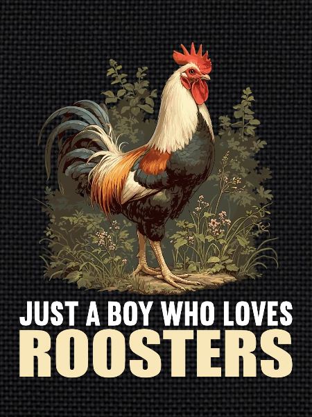 Coq Coqs Coq