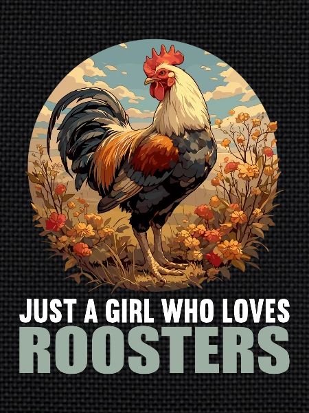 Coq Coqs Coq