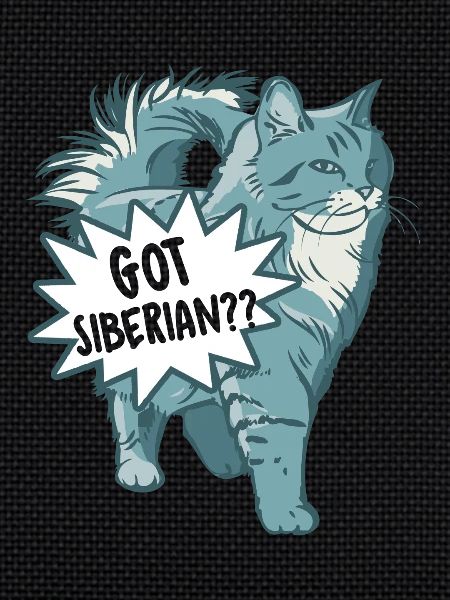Got Siberian Cat