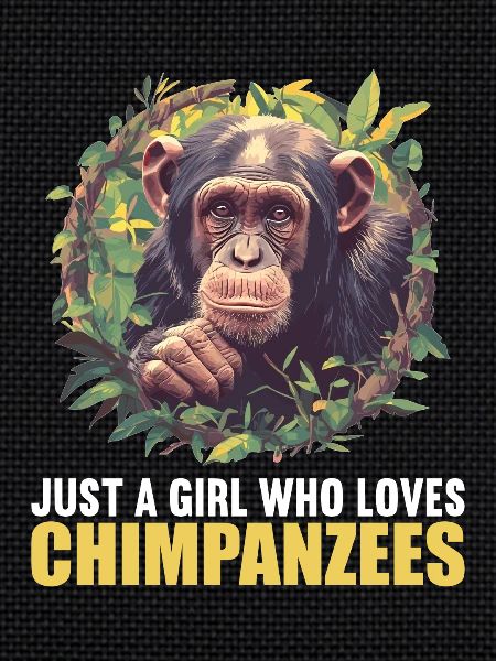 Chimpanzee Schimpansen Schimpanse
