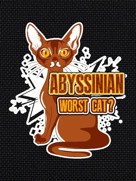 Abyssinian Worst Cat