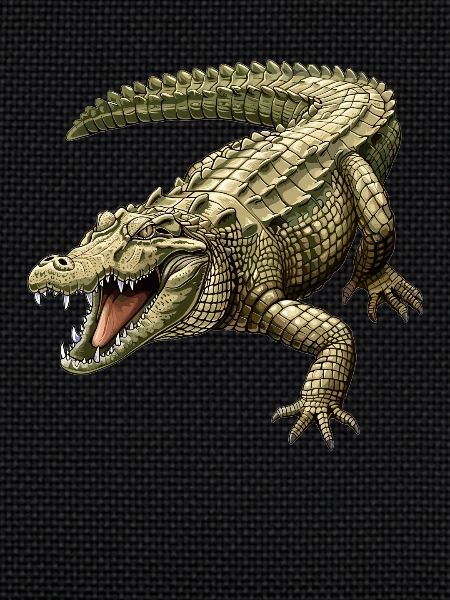 Crocodiles Crocodile