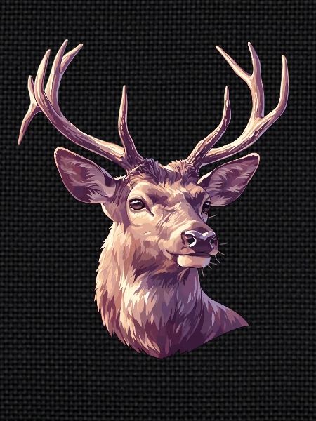 Deer Deer