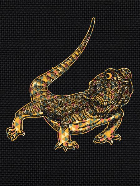 Bearded Dragon Geometric