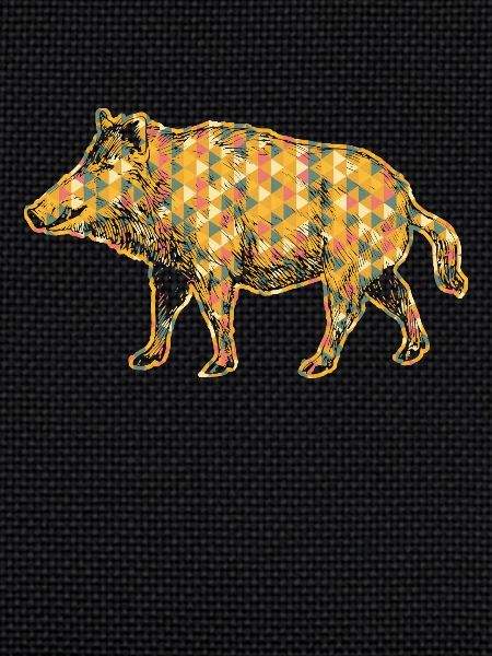 Boar Geometric