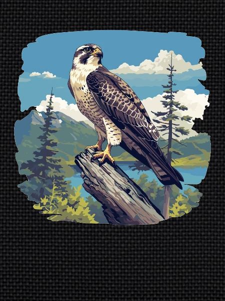 Falcon Falcon