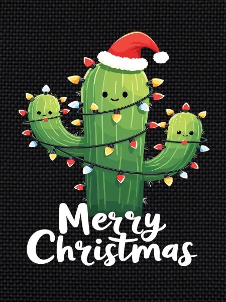Cactus de Noël Cactus Cactus