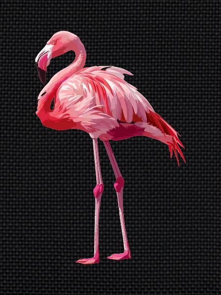 Flamingos Flamingo