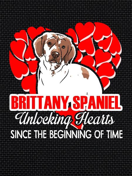 Brittany Spaniel Unlocking Hearts