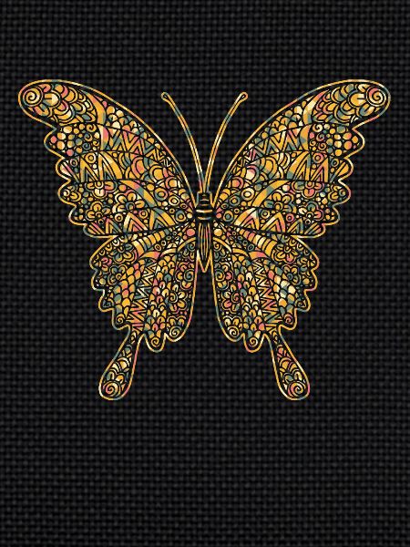 Butterfly Geometric