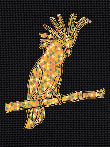 Cockatoo Geometric