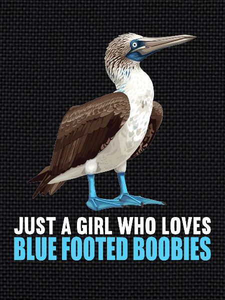 Blue-footed booby
