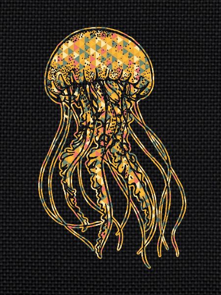 Jellyfish Geometric