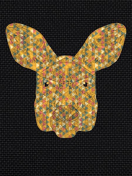 Kangaroo Geometric