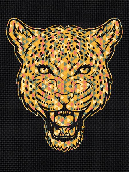 Leopard Geometric