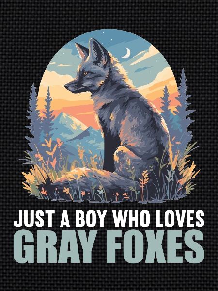 Gray foxes Gray fox