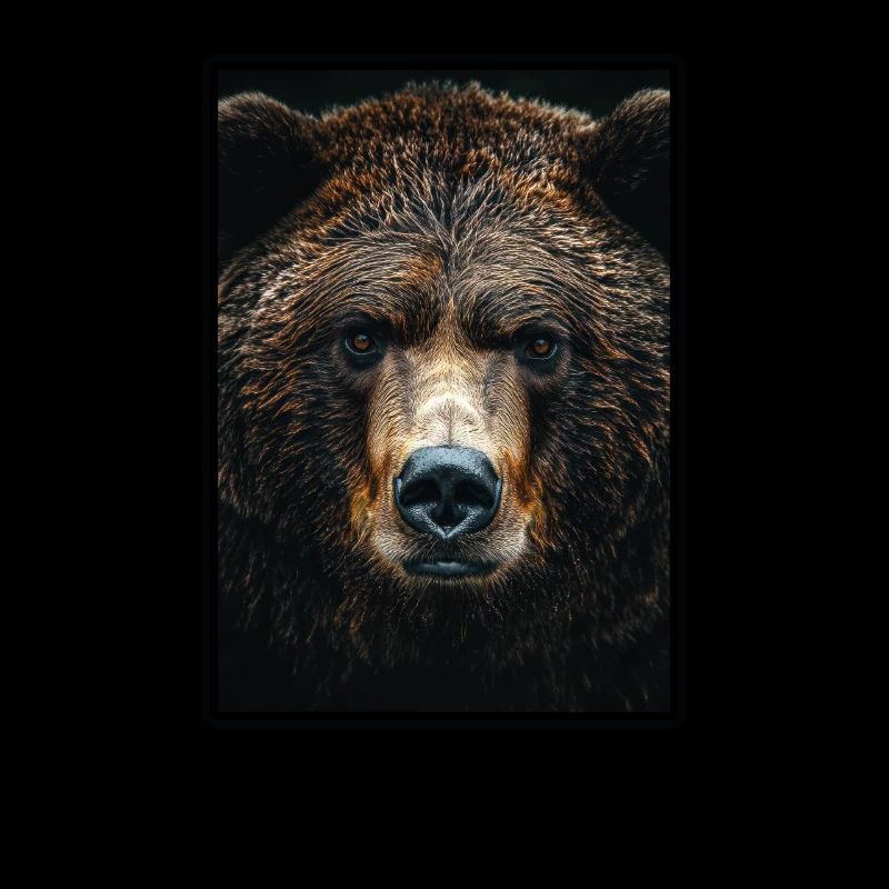 Grizzlybären Grizzlybär