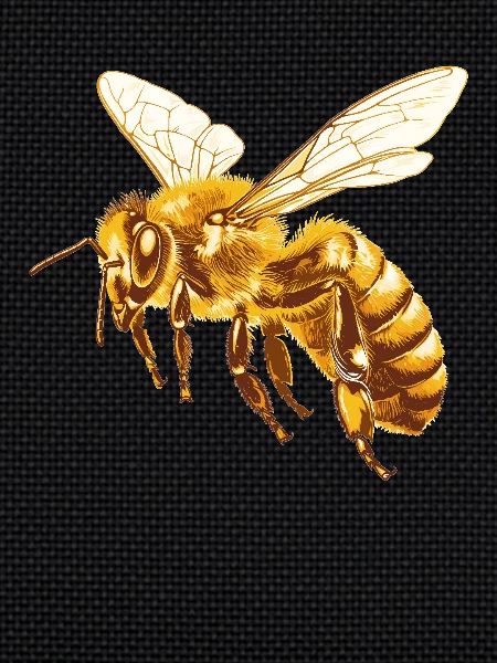 Abeilles Abeille