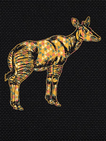 Okapi Geometric