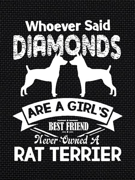 Rat Terrier Best Friend