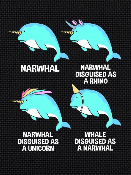 Narwhal
