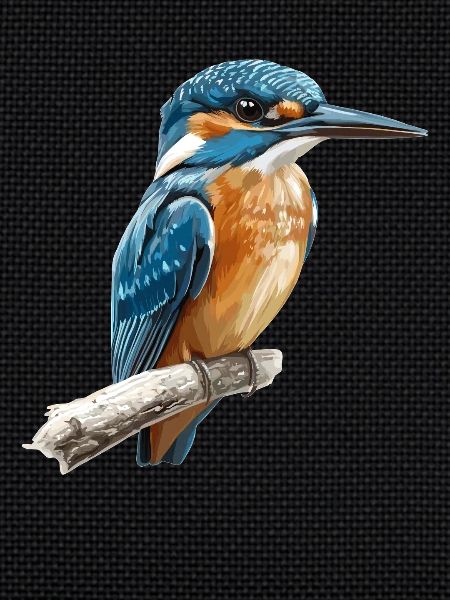 Kingfishers Kingfisher
