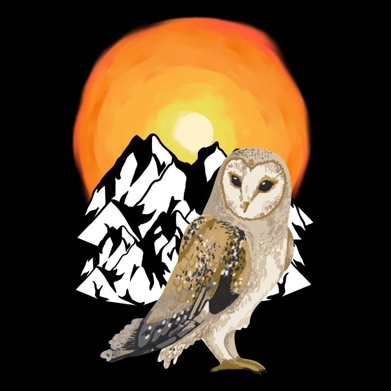 Mountain Owl Nature Wilderness Sunset