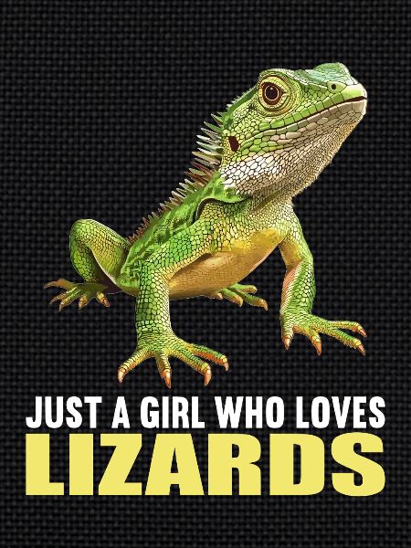 Lizards Lizard