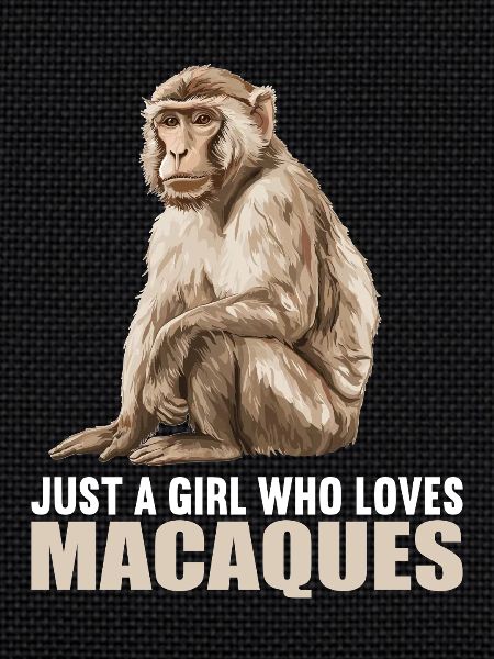 Macaque Macaque