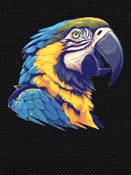 Macaw's Era